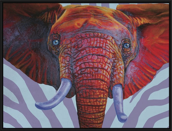 "Safari Series // Elephant"