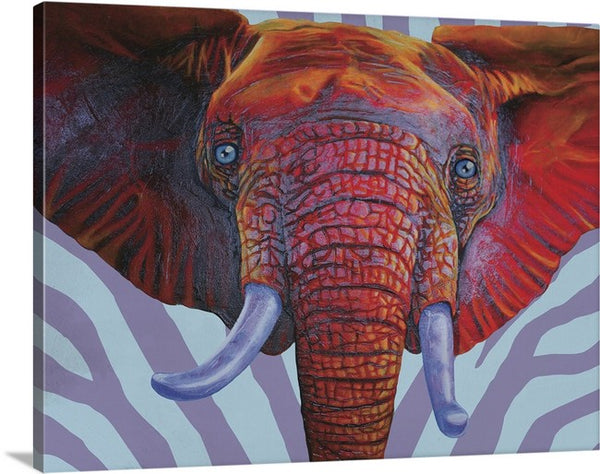"Safari Series // Elephant"